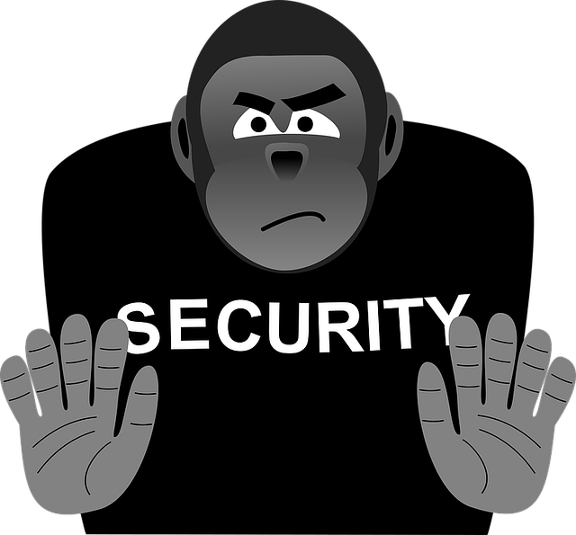 Security 1365599 640 Security 1365599 640