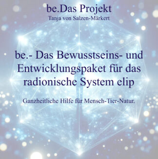 Entwicklung Elip Be