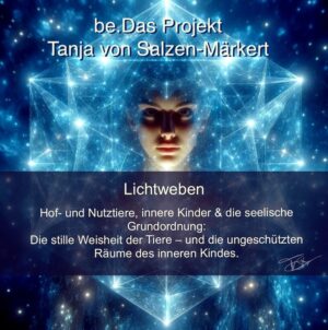 Paket 3 Lichtweben Kopie